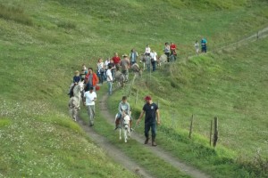 Festa degli asini 041