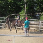 Lezione di equitazione