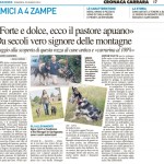 articolo nazione